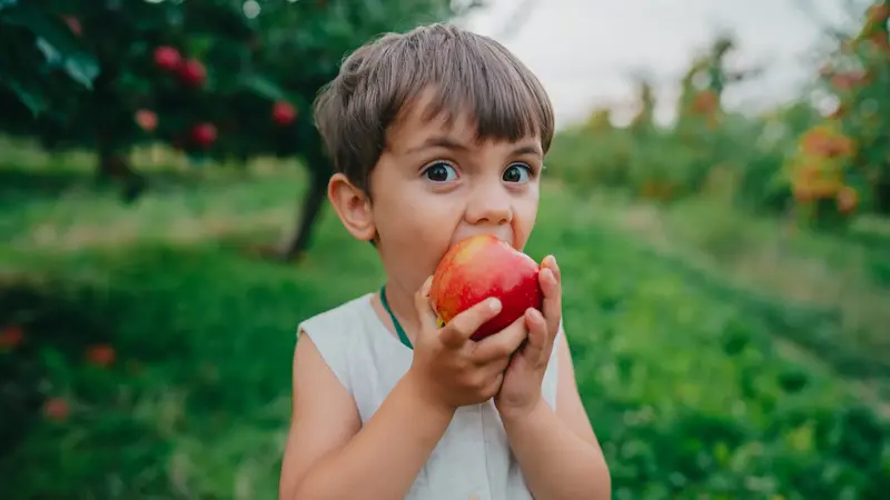 Kleiner Junge beißt in einen Apfel.