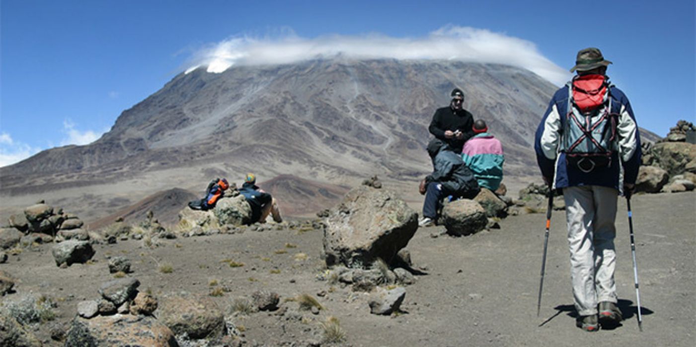 Für eine Studie werden Sportler gesucht, die den Ki­li­ma­nd­scha­ro besteigen.