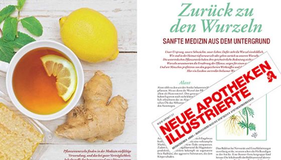 NAI Promo 01.02.2017, Titelbeitrag „Zurück zu den Wurzeln“