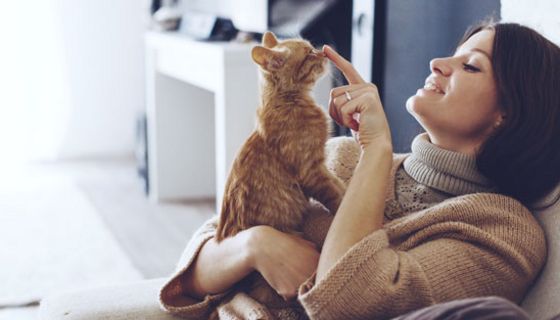 Toxoplasmose verändert den Stoffwechsel im Gehirn.