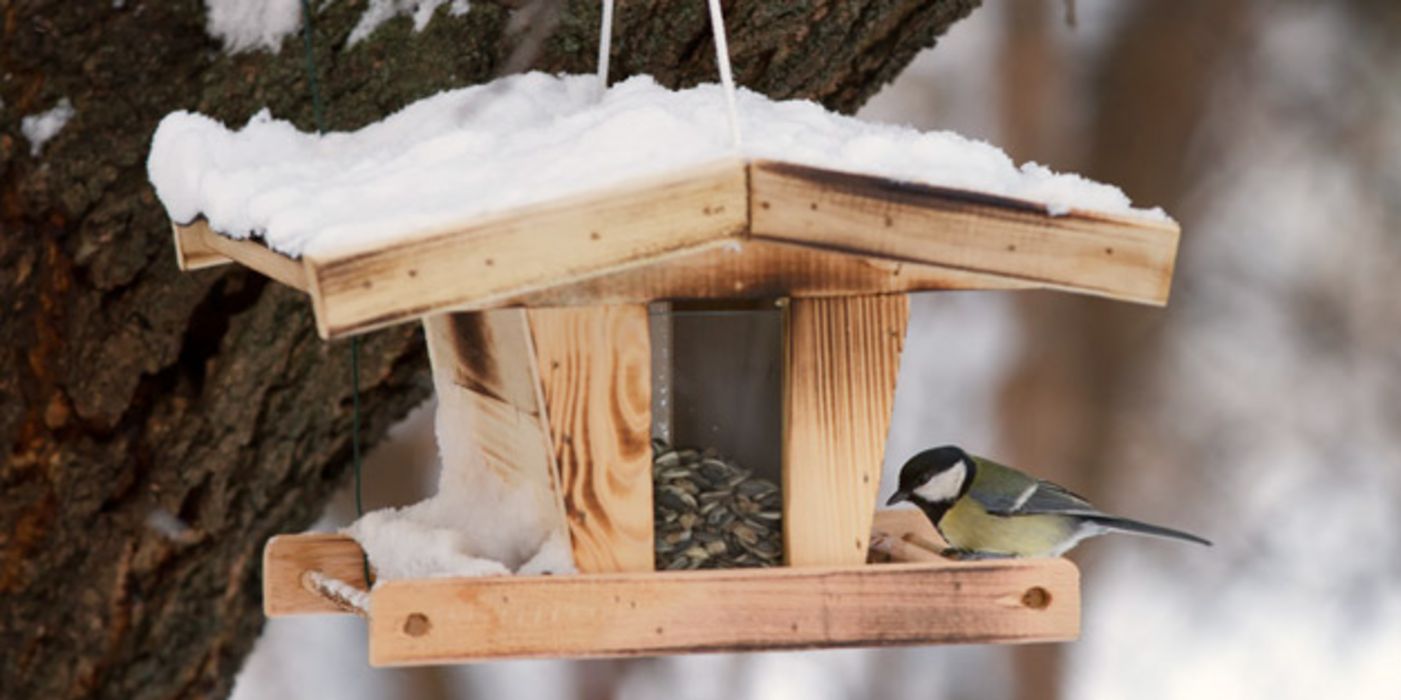 Viele Tierfreunde haben ein Vogelhaus im eigenen Garten.