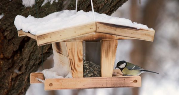 Viele Tierfreunde haben ein Vogelhaus im eigenen Garten.