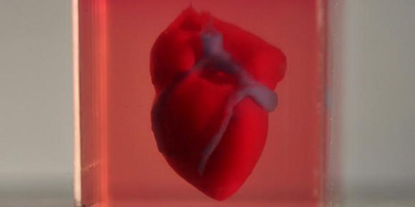 Ein Herz aus dem 3D-Drucker: Das könnte die Zukunft der Medizin sein.