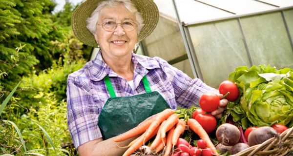 Seniorin mit Gemüsekorb