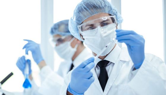 Forscher haben hochwirksame Antikörper gegen das Coronavirus identifiziert.