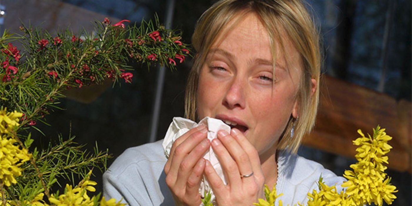 Junge blonde Frau niest kräftig in ein Taschentuch, rotgeränderte Augen, im Vordergrund ein Forsythienstrauch.