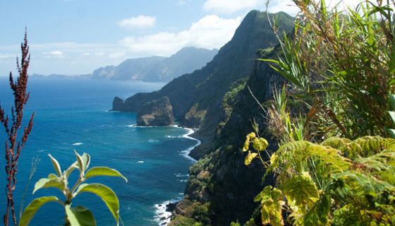 Küste von Madeira