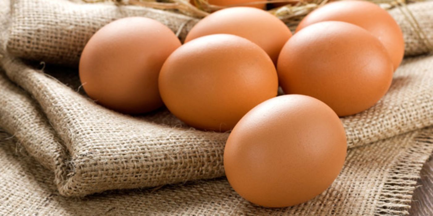 Der Verzehr der Eier könne gesundheitsschädlich sein.