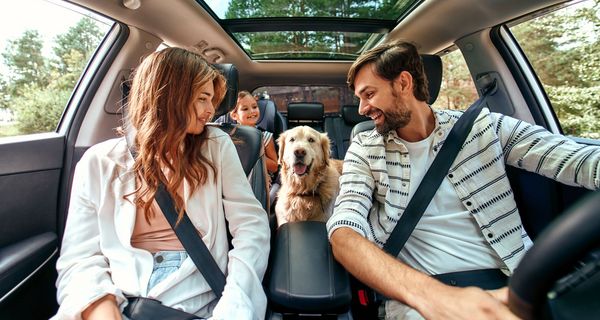 Familie mit Hund, gemeinsam im Auto.