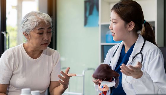Eine Ärztin erklärt einer älteren Patienten etwas anhand eines Leber-Modells.