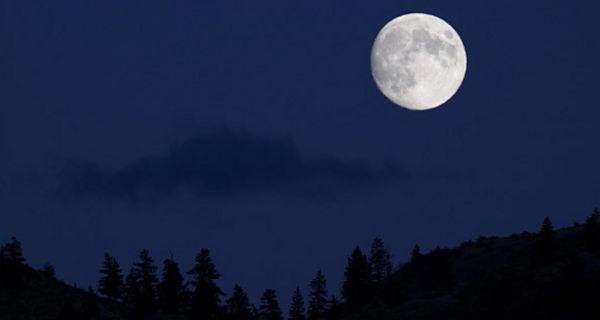 Vollmond über schwarzem Wald