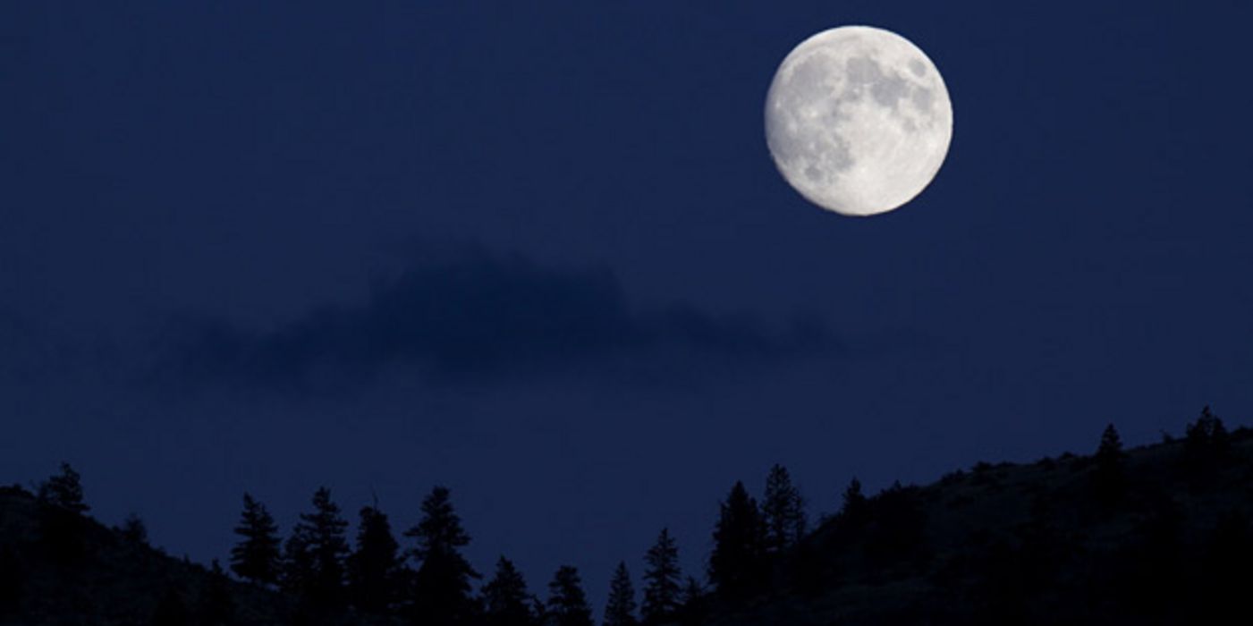 Vollmond über schwarzem Wald