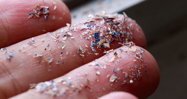 Winzige Plastikteilchen auf Fingern.