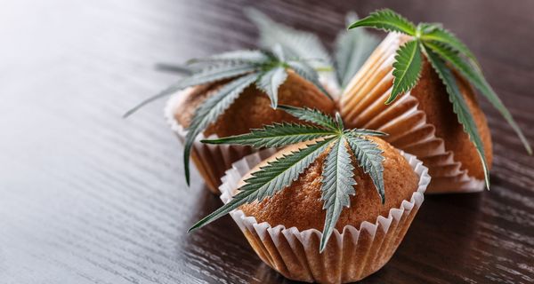 Muffins, auf denen Cannabisblätter liegen.