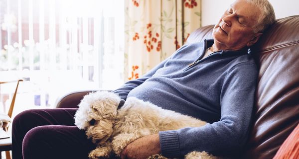 Senior, sitzt auf dem Sofa gemeinsam mit seinem Hund und macht ein Nickerchen.