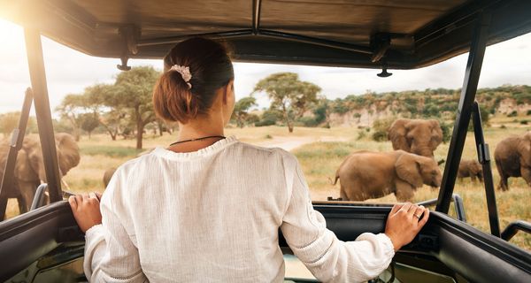 Junge Frau in einem Geländewagen während einer Safari.