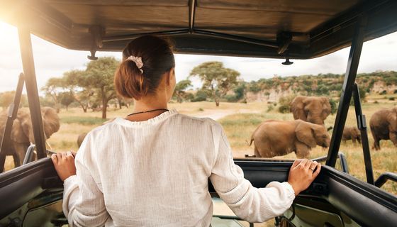 Junge Frau in einem Geländewagen während einer Safari.