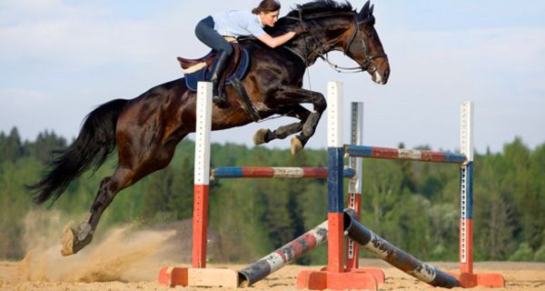 Jüngere Reiterin auf Pferd beim Überspringen eines Oxers