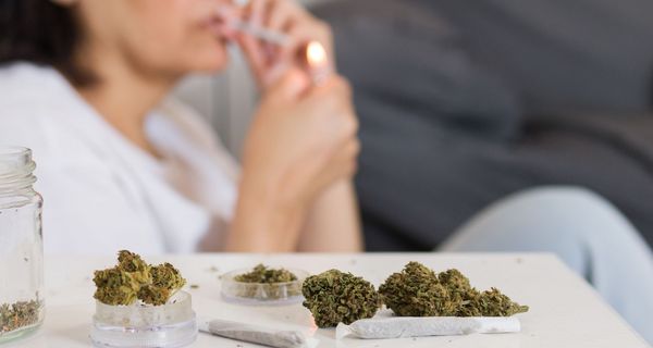 Im Vordergrund: Cannabis in Gläsern und auf einem offenen Joint-Papier.