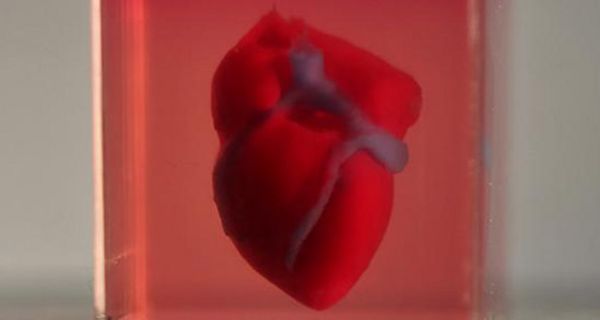 Ein Herz aus dem 3D-Drucker: Das könnte die Zukunft der Medizin sein.