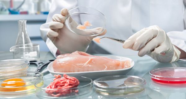 Der Anstieg der Erkrankungen durch Campylobacter-Bakterien ist in Deutschland gestiegen.