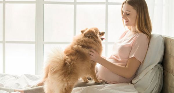 Ein Hund im Haus könnte Kinder vor Ekzemen und Asthma schützen.