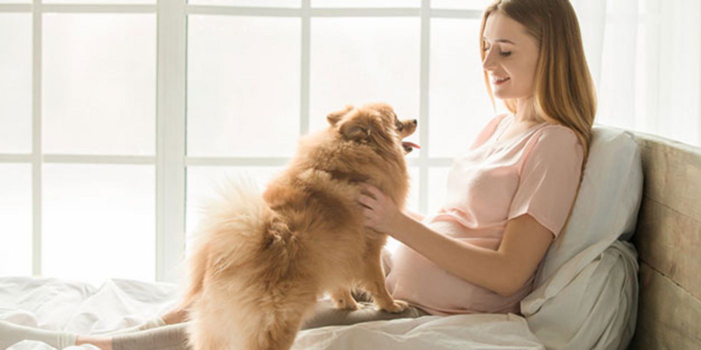 Hunde schützen Kinder vor Ekzemen und Asthma