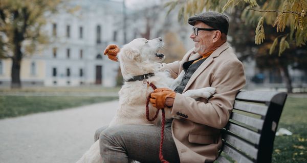 Älterer Mann, sitzt auf einer Bank, sein Hund stützt sich auf seinen Schoß.