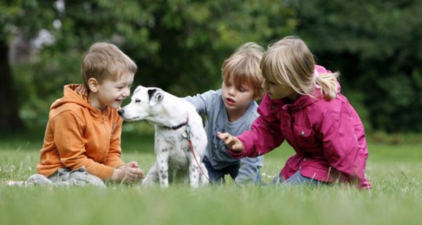 Spielende Kinder mit Hund