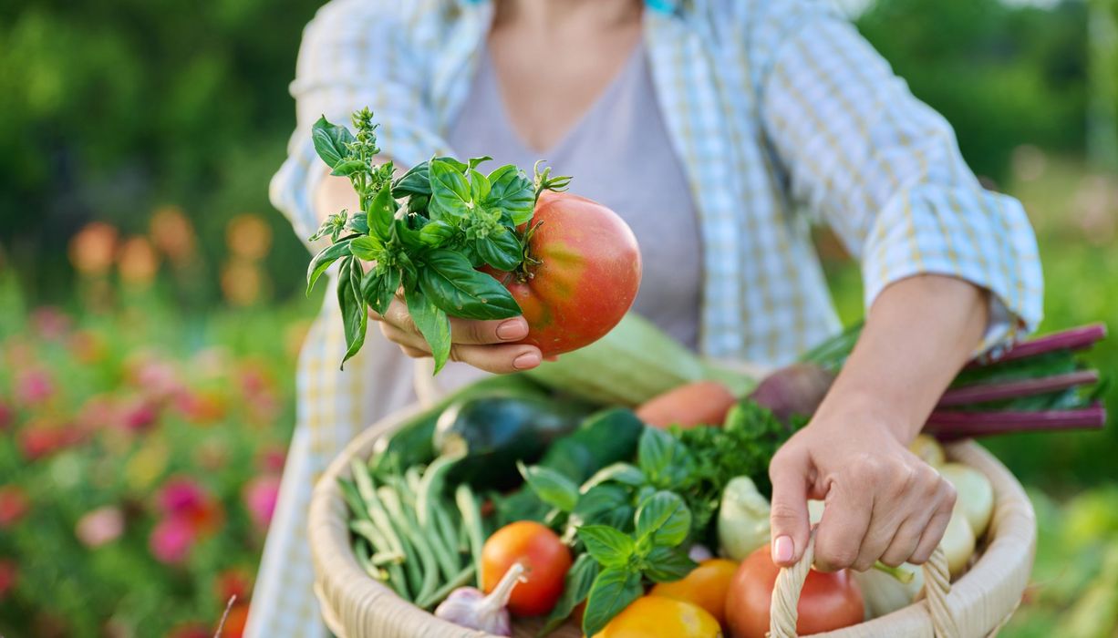 Frau mit einem Gemüsekorb, hält eine Tomate ins Bild. 