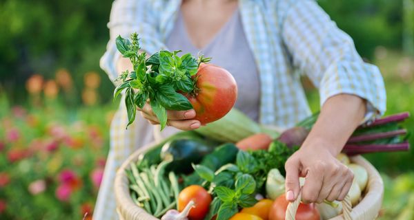 Frau mit einem Gemüsekorb, hält eine Tomate ins Bild. 