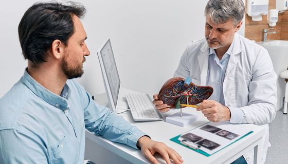 Arzt erklärt einem Patienten etwas mithilfe eines Leber-Modells.