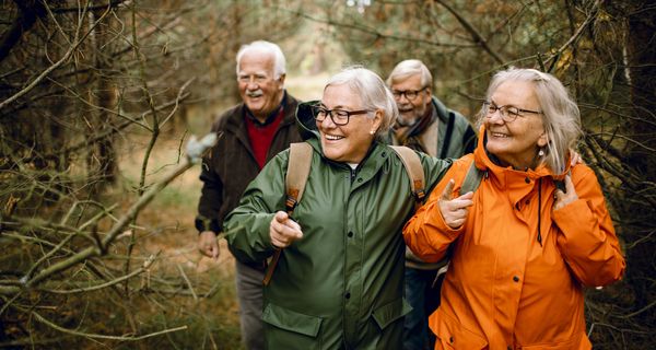 Gruppe von vier Senioren beim Spaziergang im Wald.