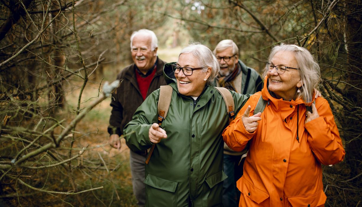 Gruppe von vier Senioren beim Spaziergang im Wald.