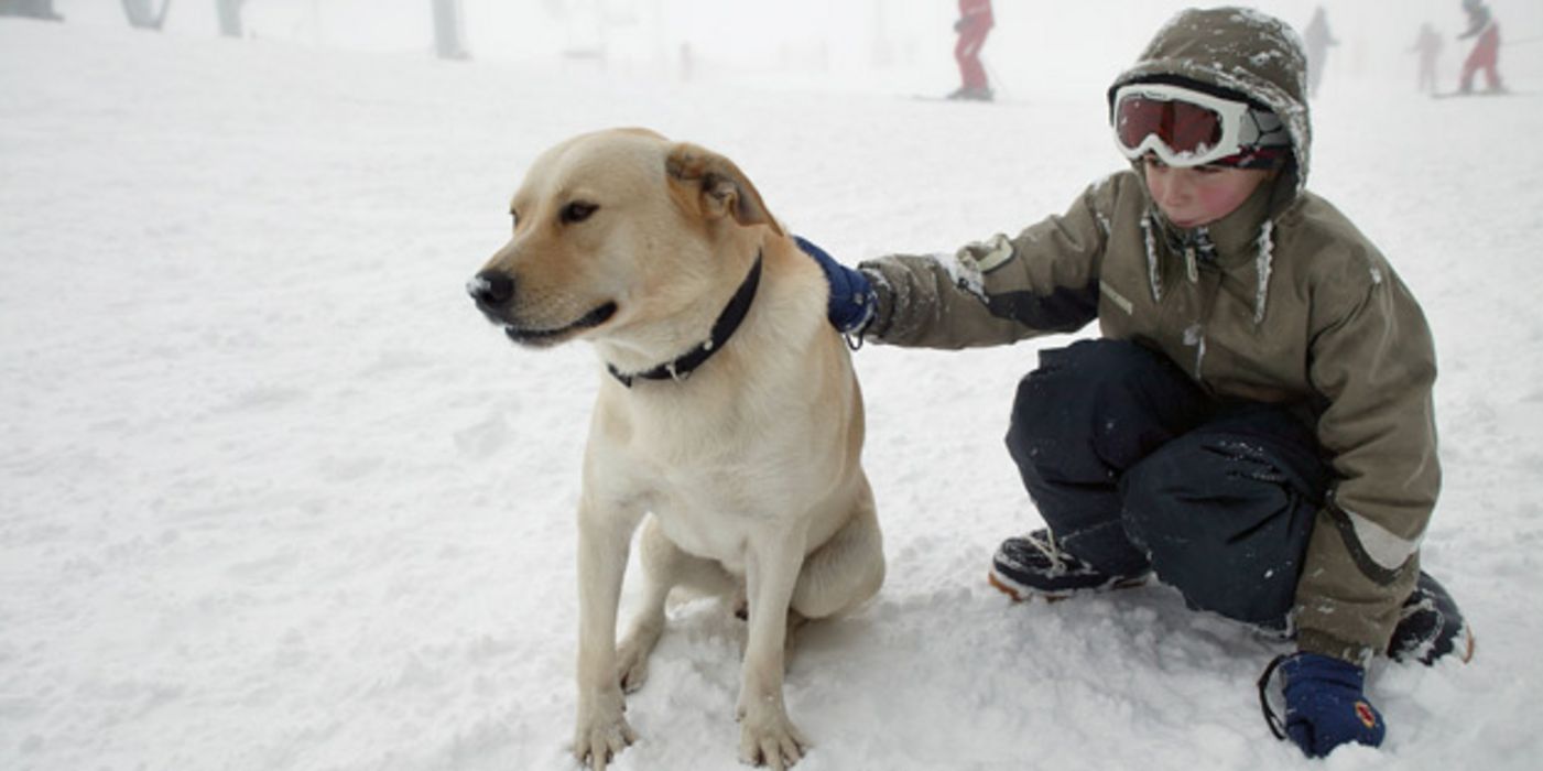 Junge streichelt Hund mit hellem Paar in verschneiter Natur