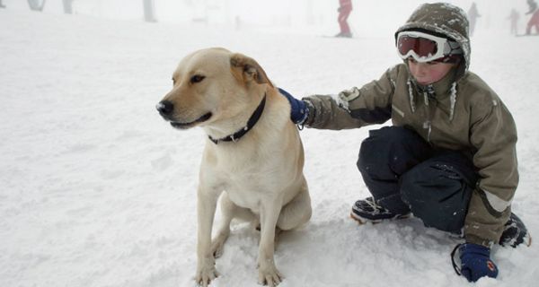 Junge streichelt Hund mit hellem Paar in verschneiter Natur