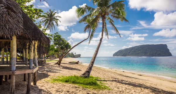 Foto von einem Palmenstrand der Insel Samoa.