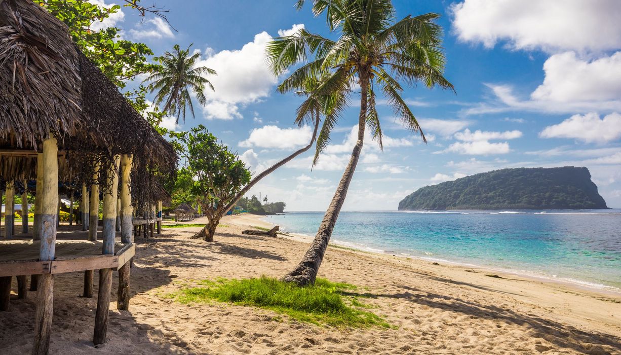 Foto von einem Palmenstrand der Insel Samoa.