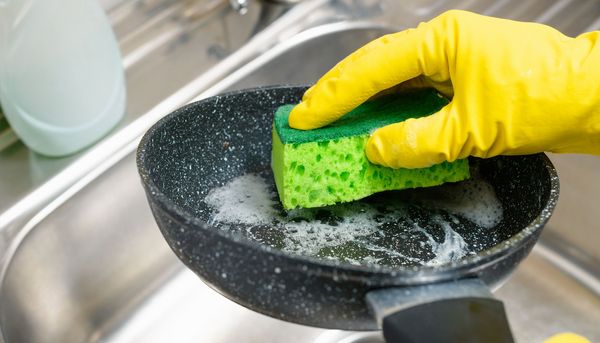 Ewigkeits-Chemikalien (PFAS) - Cholesterinsenker beschleunigen den Abbau