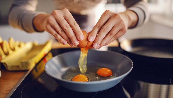 Protein-Check: Welche Lebensmittel liefern viel Eiweiß?