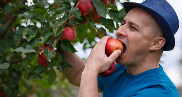 Diabetiker müssen sich bei Früchten nicht zurückhalten.