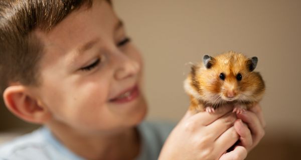 Junge hält einen Hamster vorsichtig in den Händen und strahlt ihn an.