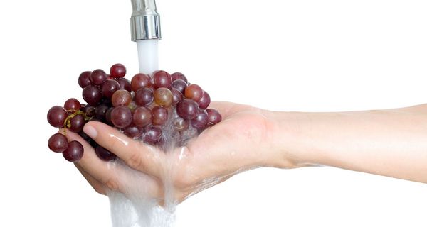 Hand mit Weintrauben unter Wasserhahn.
