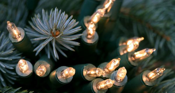 Lichterkette im Nadelbaum