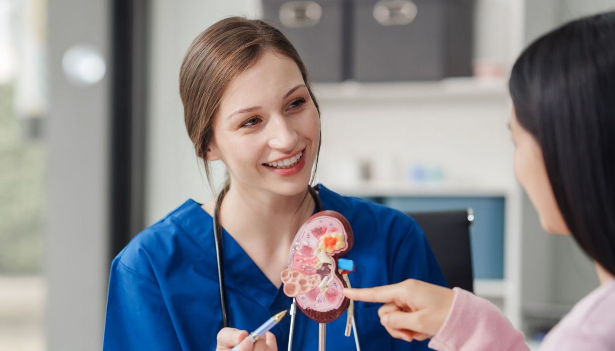 Eine Ärztin erklärt einer Patientin die Niere anhand eines Modells.