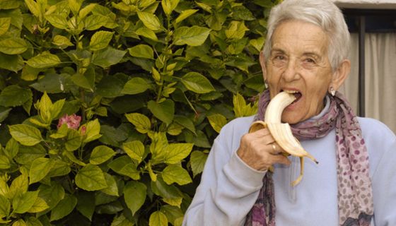 Bananen gelten als Kalium-reich: Sie enthalten etwa 400 mg pro 100 g Frucht.