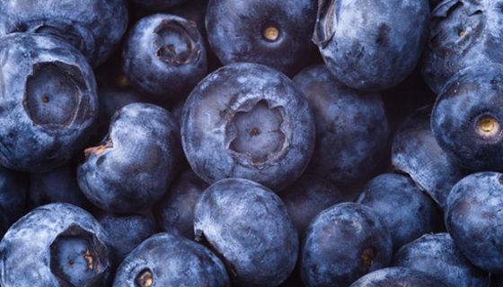 Blaubeeren schützen das Zahnfleisch.
