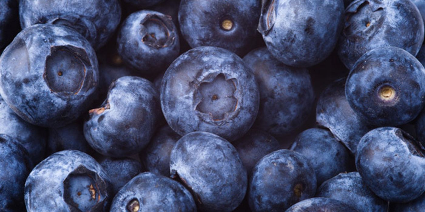 Blaubeeren schützen das Zahnfleisch.