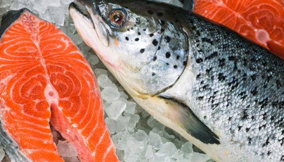 Lachs auf Eis