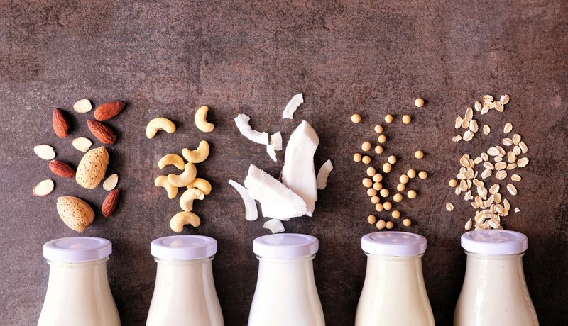 Milch aus Nüssen, Kokosnuss, Erbsen und Hafer.
